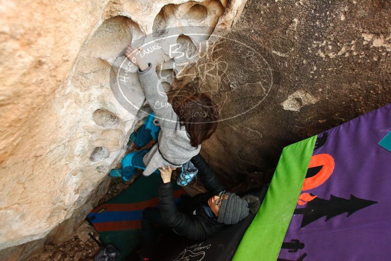 Bouldering in Hueco Tanks on 01/01/2019 with Blue Lizard Climbing and Yoga
Filename: SRM_20190101_1049220.jpg
Aperture: f/3.5
Shutter Speed: 1/200
Body: Canon EOS-1D Mark II
Lens: Canon EF 16-35mm f/2.8 L