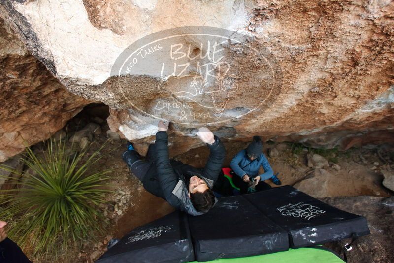 Bouldering in Hueco Tanks on 01/01/2019 with Blue Lizard Climbing and Yoga
Filename: SRM_20190101_1112130.jpg
Aperture: f/4.0
Shutter Speed: 1/200
Body: Canon EOS-1D Mark II
Lens: Canon EF 16-35mm f/2.8 L