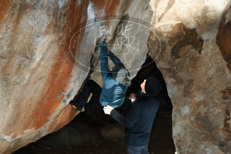 Bouldering in Hueco Tanks on 01/01/2019 with Blue Lizard Climbing and Yoga

Filename: SRM_20190101_1148530.jpg
Aperture: f/8.0
Shutter Speed: 1/250
Body: Canon EOS-1D Mark II
Lens: Canon EF 50mm f/1.8 II