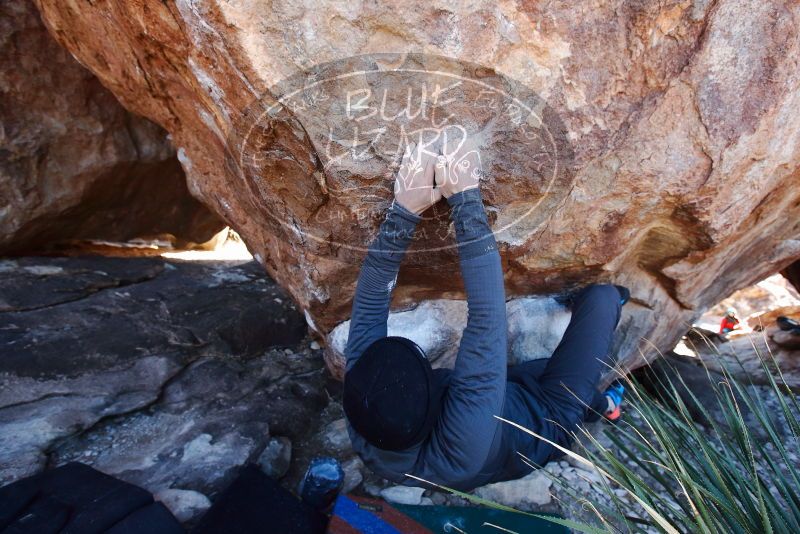 Bouldering in Hueco Tanks on 01/01/2019 with Blue Lizard Climbing and Yoga

Filename: SRM_20190101_1342210.jpg
Aperture: f/5.0
Shutter Speed: 1/250
Body: Canon EOS-1D Mark II
Lens: Canon EF 16-35mm f/2.8 L