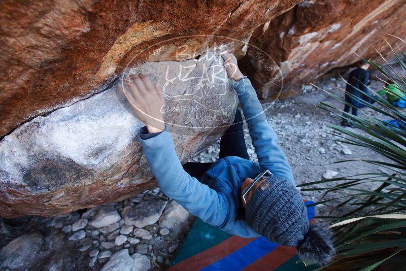 Bouldering in Hueco Tanks on 01/01/2019 with Blue Lizard Climbing and Yoga
Filename: SRM_20190101_1356180.jpg
Aperture: f/4.5
Shutter Speed: 1/250
Body: Canon EOS-1D Mark II
Lens: Canon EF 16-35mm f/2.8 L