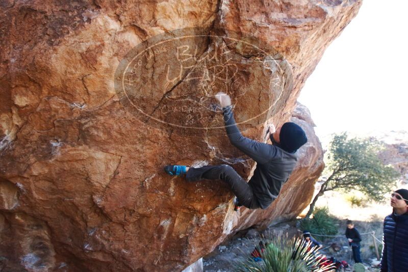 Bouldering in Hueco Tanks on 01/01/2019 with Blue Lizard Climbing and Yoga
Filename: SRM_20190101_1358580.jpg
Aperture: f/5.6
Shutter Speed: 1/250
Body: Canon EOS-1D Mark II
Lens: Canon EF 16-35mm f/2.8 L