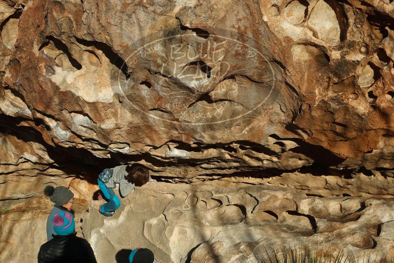 Bouldering in Hueco Tanks on 01/01/2019 with Blue Lizard Climbing and Yoga

Filename: SRM_20190101_1708070.jpg
Aperture: f/4.0
Shutter Speed: 1/800
Body: Canon EOS-1D Mark II
Lens: Canon EF 50mm f/1.8 II