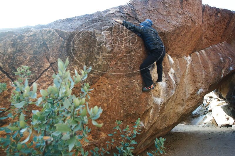 Bouldering in Hueco Tanks on 01/02/2019 with Blue Lizard Climbing and Yoga
Filename: SRM_20190102_1016130.jpg
Aperture: f/5.0
Shutter Speed: 1/250
Body: Canon EOS-1D Mark II
Lens: Canon EF 16-35mm f/2.8 L