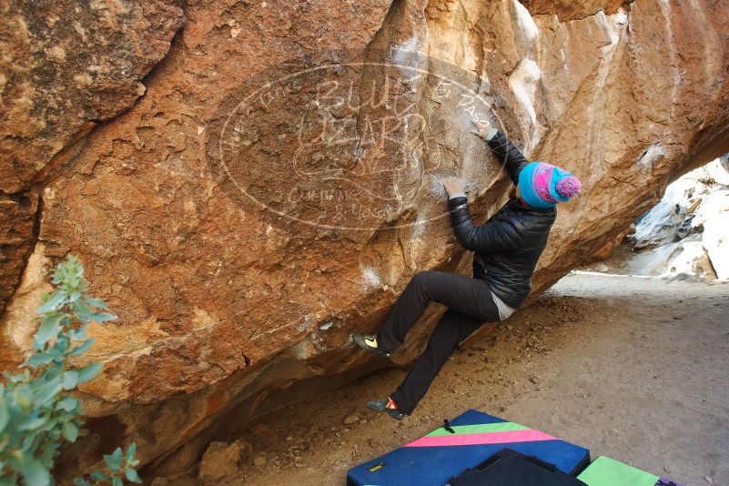 Bouldering in Hueco Tanks on 01/02/2019 with Blue Lizard Climbing and Yoga

Filename: SRM_20190102_1022580.jpg
Aperture: f/5.0
Shutter Speed: 1/250
Body: Canon EOS-1D Mark II
Lens: Canon EF 16-35mm f/2.8 L