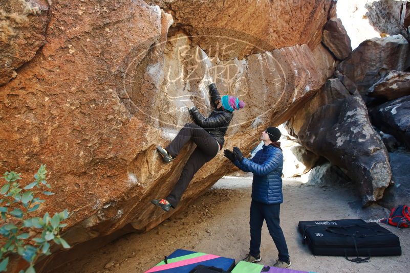 Bouldering in Hueco Tanks on 01/02/2019 with Blue Lizard Climbing and Yoga
Filename: SRM_20190102_1028540.jpg
Aperture: f/5.0
Shutter Speed: 1/250
Body: Canon EOS-1D Mark II
Lens: Canon EF 16-35mm f/2.8 L