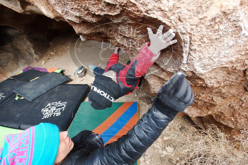Bouldering in Hueco Tanks on 01/02/2019 with Blue Lizard Climbing and Yoga
Filename: SRM_20190102_1330230.jpg
Aperture: f/5.0
Shutter Speed: 1/250
Body: Canon EOS-1D Mark II
Lens: Canon EF 16-35mm f/2.8 L