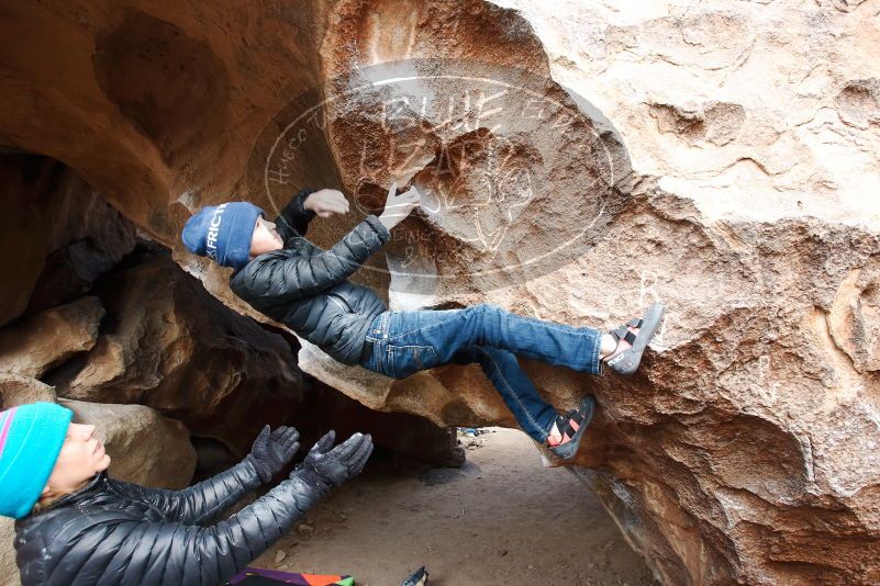 Bouldering in Hueco Tanks on 01/02/2019 with Blue Lizard Climbing and Yoga
Filename: SRM_20190102_1332350.jpg
Aperture: f/5.0
Shutter Speed: 1/250
Body: Canon EOS-1D Mark II
Lens: Canon EF 16-35mm f/2.8 L