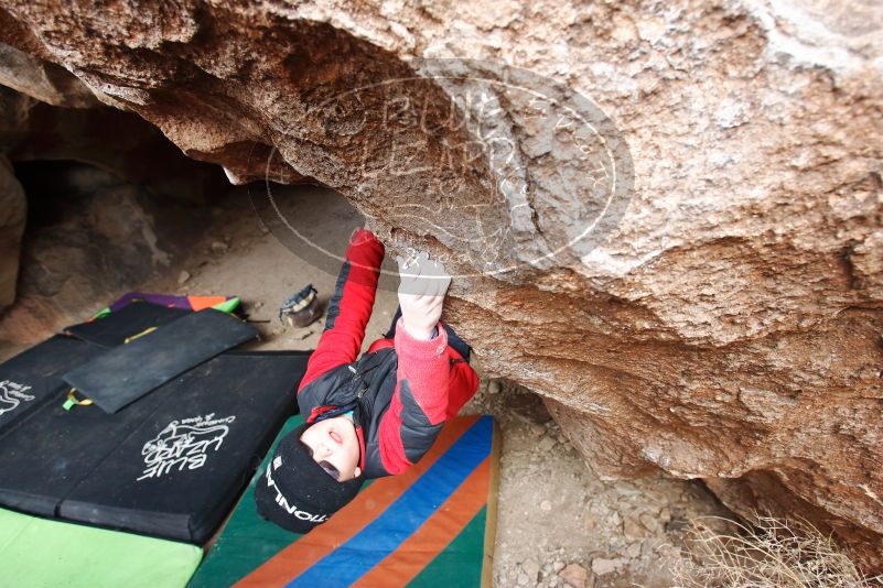 Bouldering in Hueco Tanks on 01/02/2019 with Blue Lizard Climbing and Yoga
Filename: SRM_20190102_1333280.jpg
Aperture: f/4.5
Shutter Speed: 1/250
Body: Canon EOS-1D Mark II
Lens: Canon EF 16-35mm f/2.8 L