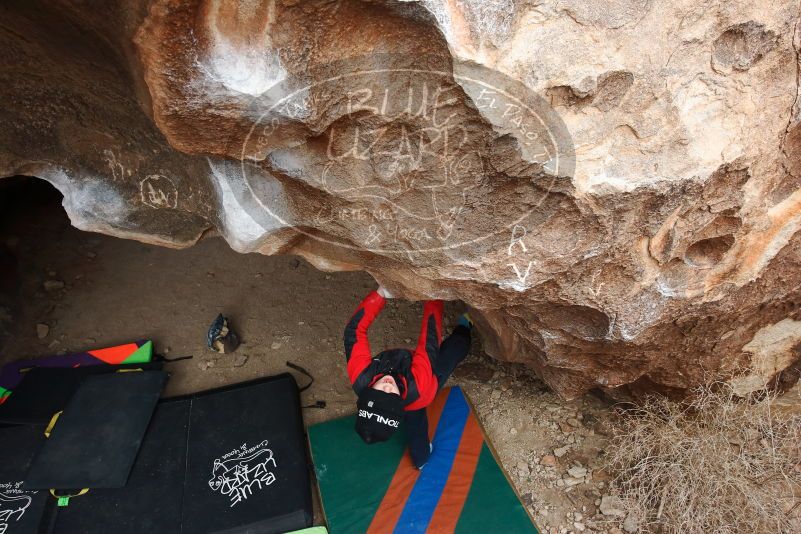 Bouldering in Hueco Tanks on 01/02/2019 with Blue Lizard Climbing and Yoga
Filename: SRM_20190102_1336550.jpg
Aperture: f/6.3
Shutter Speed: 1/320
Body: Canon EOS-1D Mark II
Lens: Canon EF 16-35mm f/2.8 L