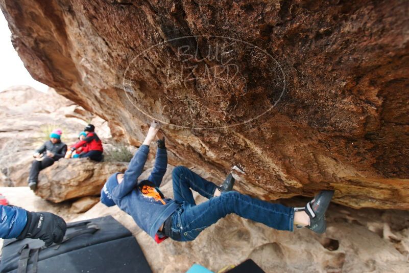 Bouldering in Hueco Tanks on 01/02/2019 with Blue Lizard Climbing and Yoga
Filename: SRM_20190102_1425250.jpg
Aperture: f/5.0
Shutter Speed: 1/320
Body: Canon EOS-1D Mark II
Lens: Canon EF 16-35mm f/2.8 L