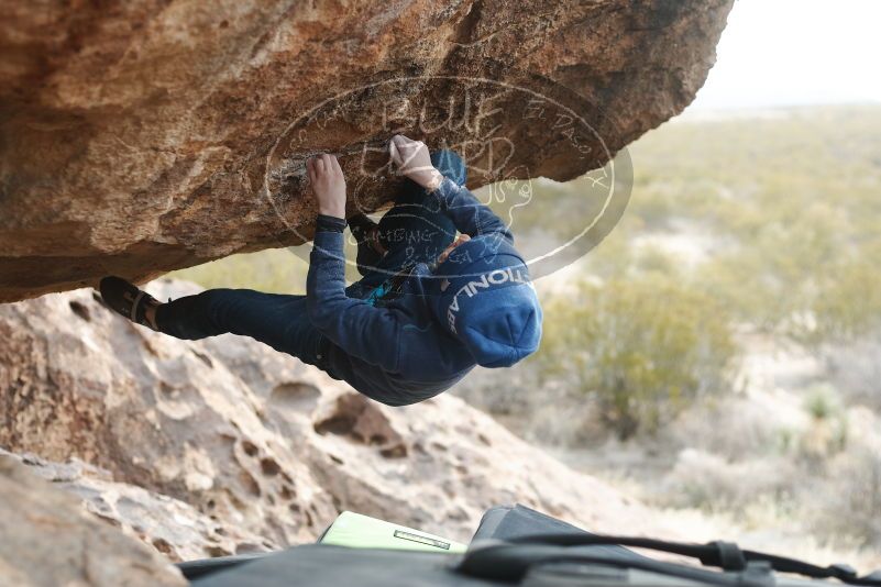 Bouldering in Hueco Tanks on 01/02/2019 with Blue Lizard Climbing and Yoga

Filename: SRM_20190102_1451110.jpg
Aperture: f/3.2
Shutter Speed: 1/400
Body: Canon EOS-1D Mark II
Lens: Canon EF 50mm f/1.8 II