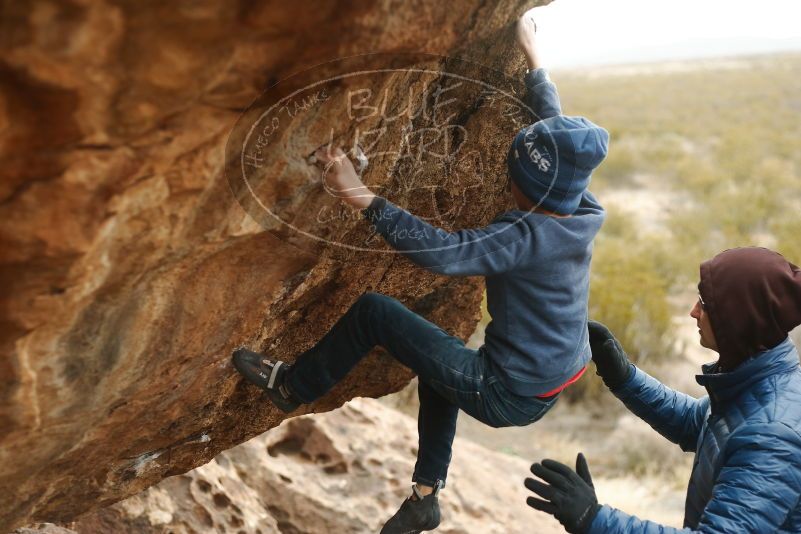 Bouldering in Hueco Tanks on 01/02/2019 with Blue Lizard Climbing and Yoga

Filename: SRM_20190102_1456581.jpg
Aperture: f/2.8
Shutter Speed: 1/400
Body: Canon EOS-1D Mark II
Lens: Canon EF 50mm f/1.8 II