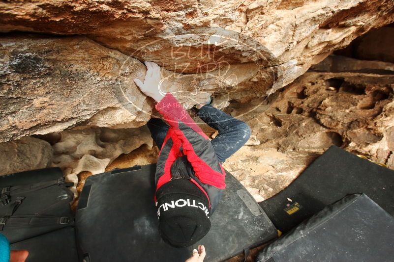 Bouldering in Hueco Tanks on 01/02/2019 with Blue Lizard Climbing and Yoga
Filename: SRM_20190102_1543380.jpg
Aperture: f/6.3
Shutter Speed: 1/320
Body: Canon EOS-1D Mark II
Lens: Canon EF 16-35mm f/2.8 L