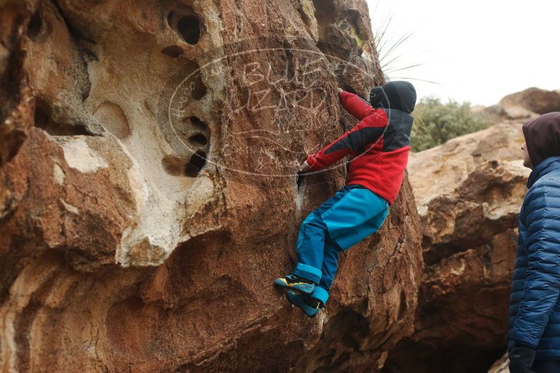 Bouldering in Hueco Tanks on 01/02/2019 with Blue Lizard Climbing and Yoga
Filename: SRM_20190102_1654360.jpg
Aperture: f/4.0
Shutter Speed: 1/320
Body: Canon EOS-1D Mark II
Lens: Canon EF 50mm f/1.8 II