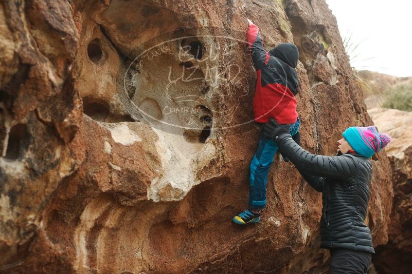 Bouldering in Hueco Tanks on 01/02/2019 with Blue Lizard Climbing and Yoga
Filename: SRM_20190102_1658360.jpg
Aperture: f/3.2
Shutter Speed: 1/320
Body: Canon EOS-1D Mark II
Lens: Canon EF 50mm f/1.8 II