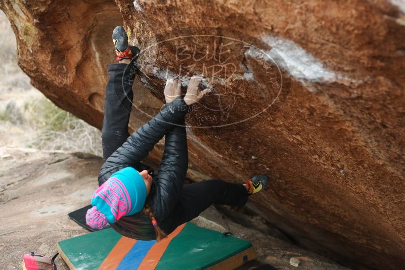 Bouldering in Hueco Tanks on 01/02/2019 with Blue Lizard Climbing and Yoga

Filename: SRM_20190102_1714330.jpg
Aperture: f/3.2
Shutter Speed: 1/250
Body: Canon EOS-1D Mark II
Lens: Canon EF 50mm f/1.8 II