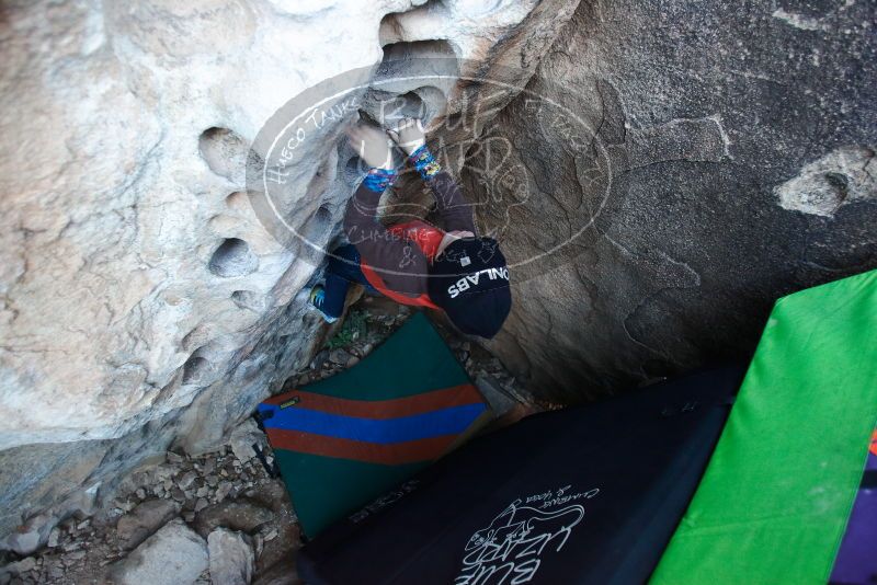 Bouldering in Hueco Tanks on 01/01/2019 with Blue Lizard Climbing and Yoga

Filename: SRM_20190101_1022250.jpg
Aperture: f/2.8
Shutter Speed: 1/200
Body: Canon EOS-1D Mark II
Lens: Canon EF 16-35mm f/2.8 L