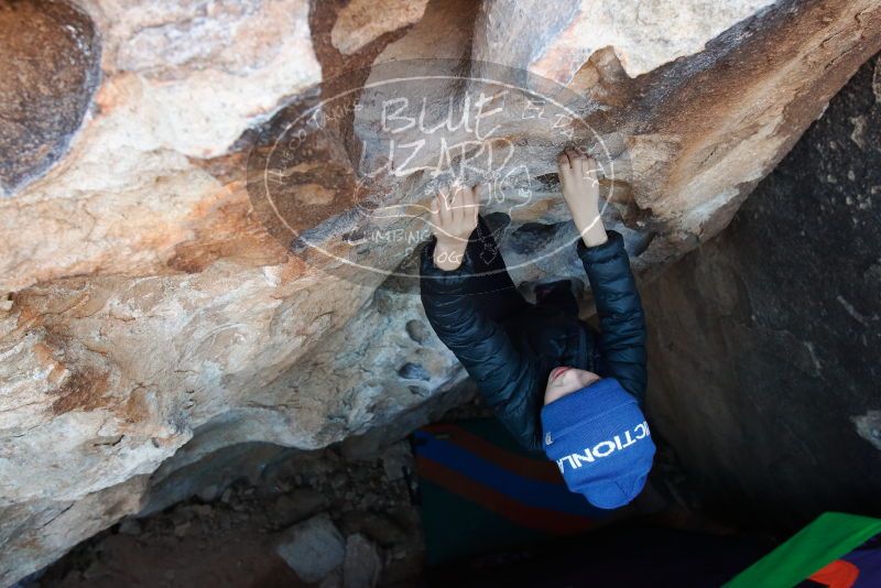 Bouldering in Hueco Tanks on 01/01/2019 with Blue Lizard Climbing and Yoga

Filename: SRM_20190101_1024170.jpg
Aperture: f/5.6
Shutter Speed: 1/200
Body: Canon EOS-1D Mark II
Lens: Canon EF 16-35mm f/2.8 L