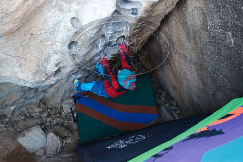 Bouldering in Hueco Tanks on 01/01/2019 with Blue Lizard Climbing and Yoga

Filename: SRM_20190101_1026050.jpg
Aperture: f/3.2
Shutter Speed: 1/200
Body: Canon EOS-1D Mark II
Lens: Canon EF 16-35mm f/2.8 L
