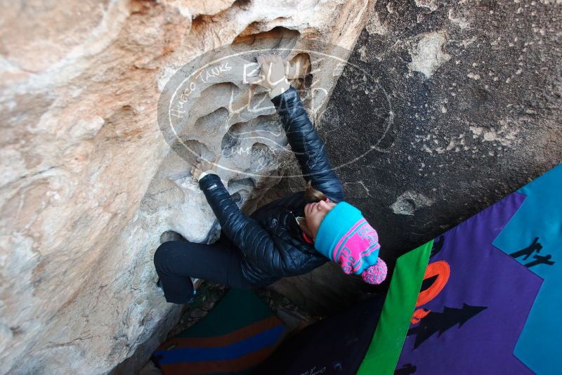 Bouldering in Hueco Tanks on 01/01/2019 with Blue Lizard Climbing and Yoga

Filename: SRM_20190101_1030510.jpg
Aperture: f/4.0
Shutter Speed: 1/200
Body: Canon EOS-1D Mark II
Lens: Canon EF 16-35mm f/2.8 L