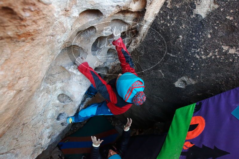 Bouldering in Hueco Tanks on 01/01/2019 with Blue Lizard Climbing and Yoga
Filename: SRM_20190101_1041430.jpg
Aperture: f/4.0
Shutter Speed: 1/200
Body: Canon EOS-1D Mark II
Lens: Canon EF 16-35mm f/2.8 L