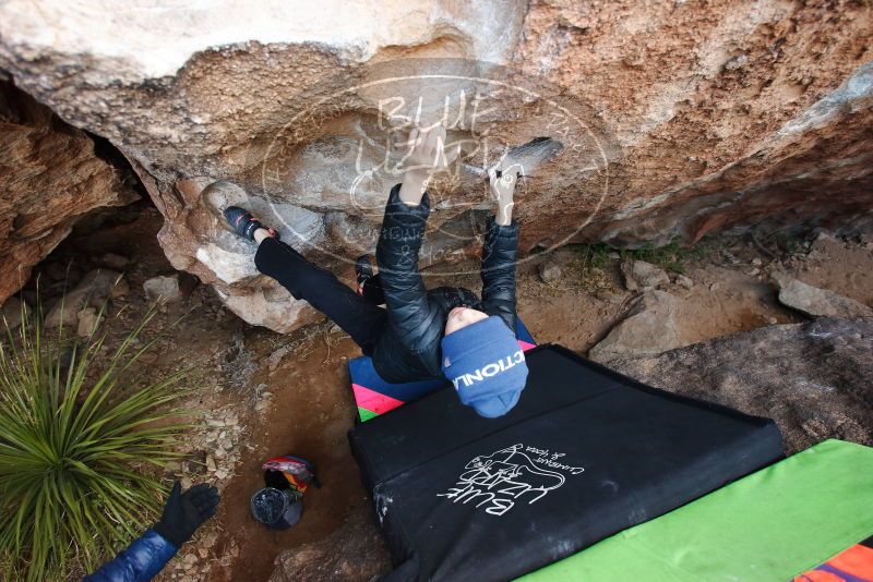 Bouldering in Hueco Tanks on 01/01/2019 with Blue Lizard Climbing and Yoga
Filename: SRM_20190101_1055220.jpg
Aperture: f/4.0
Shutter Speed: 1/200
Body: Canon EOS-1D Mark II
Lens: Canon EF 16-35mm f/2.8 L