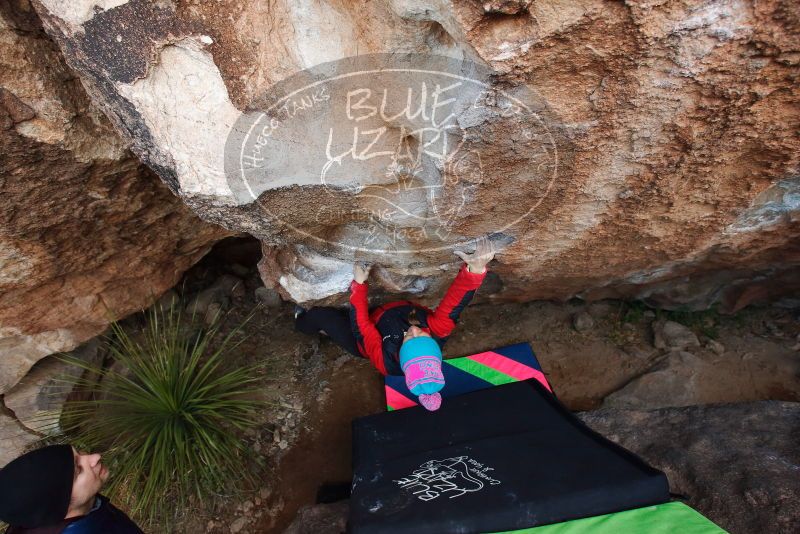 Bouldering in Hueco Tanks on 01/01/2019 with Blue Lizard Climbing and Yoga

Filename: SRM_20190101_1102570.jpg
Aperture: f/4.5
Shutter Speed: 1/250
Body: Canon EOS-1D Mark II
Lens: Canon EF 16-35mm f/2.8 L