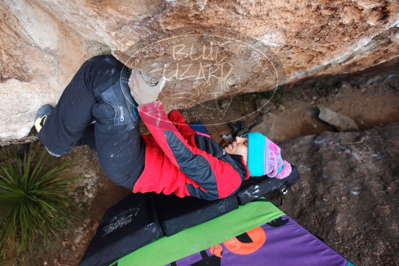 Bouldering in Hueco Tanks on 01/01/2019 with Blue Lizard Climbing and Yoga

Filename: SRM_20190101_1110040.jpg
Aperture: f/4.0
Shutter Speed: 1/250
Body: Canon EOS-1D Mark II
Lens: Canon EF 16-35mm f/2.8 L