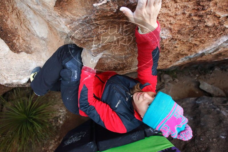 Bouldering in Hueco Tanks on 01/01/2019 with Blue Lizard Climbing and Yoga
Filename: SRM_20190101_1110080.jpg
Aperture: f/4.5
Shutter Speed: 1/250
Body: Canon EOS-1D Mark II
Lens: Canon EF 16-35mm f/2.8 L