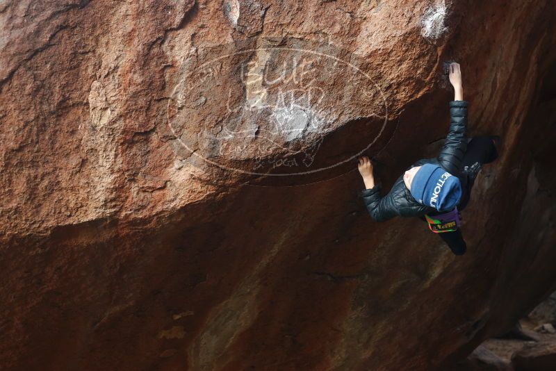 Bouldering in Hueco Tanks on 01/01/2019 with Blue Lizard Climbing and Yoga
Filename: SRM_20190101_1127210.jpg
Aperture: f/3.5
Shutter Speed: 1/250
Body: Canon EOS-1D Mark II
Lens: Canon EF 50mm f/1.8 II