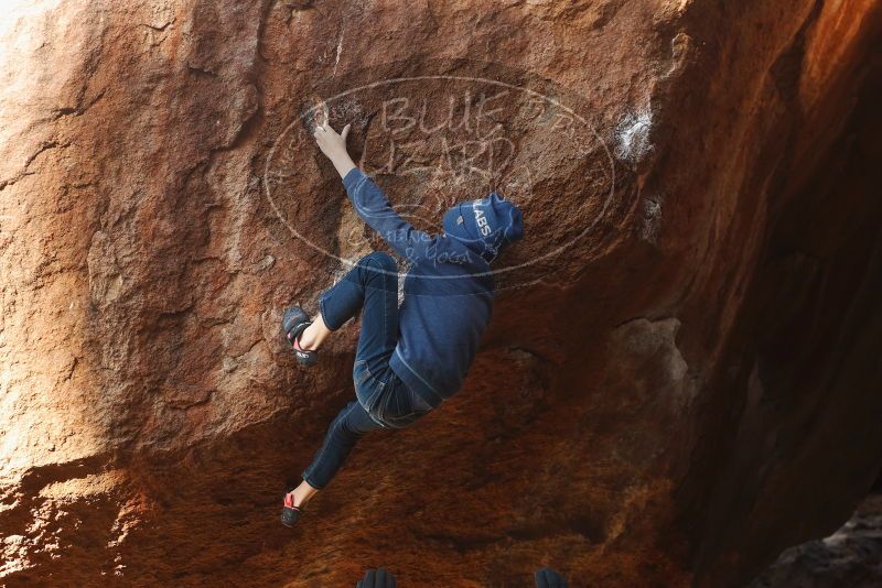 Bouldering in Hueco Tanks on 01/01/2019 with Blue Lizard Climbing and Yoga
Filename: SRM_20190101_1141240.jpg
Aperture: f/4.0
Shutter Speed: 1/250
Body: Canon EOS-1D Mark II
Lens: Canon EF 50mm f/1.8 II
