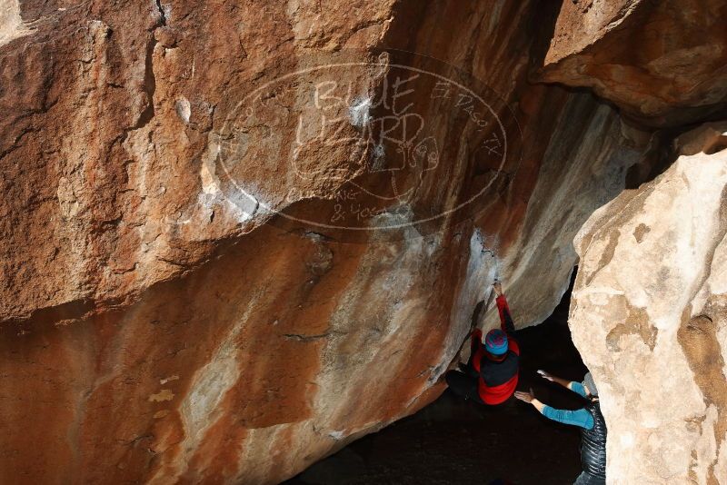Bouldering in Hueco Tanks on 01/01/2019 with Blue Lizard Climbing and Yoga
Filename: SRM_20190101_1208200.jpg
Aperture: f/9.0
Shutter Speed: 1/250
Body: Canon EOS-1D Mark II
Lens: Canon EF 16-35mm f/2.8 L