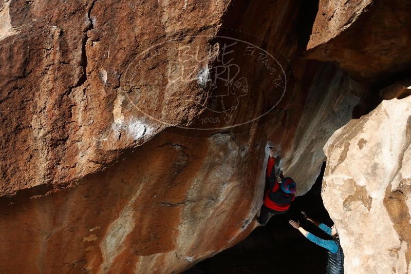 Bouldering in Hueco Tanks on 01/01/2019 with Blue Lizard Climbing and Yoga
Filename: SRM_20190101_1208250.jpg
Aperture: f/9.0
Shutter Speed: 1/250
Body: Canon EOS-1D Mark II
Lens: Canon EF 16-35mm f/2.8 L
