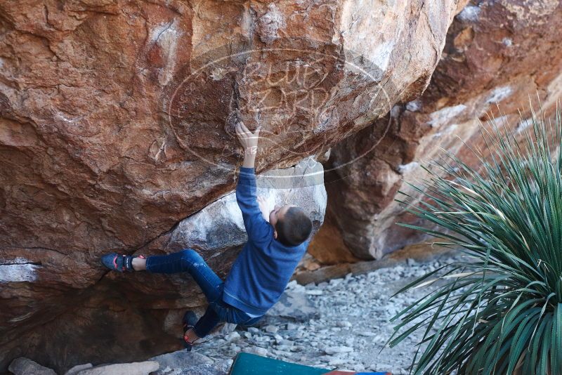 Bouldering in Hueco Tanks on 01/01/2019 with Blue Lizard Climbing and Yoga

Filename: SRM_20190101_1312580.jpg
Aperture: f/3.2
Shutter Speed: 1/250
Body: Canon EOS-1D Mark II
Lens: Canon EF 50mm f/1.8 II