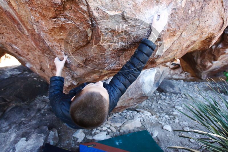 Bouldering in Hueco Tanks on 01/01/2019 with Blue Lizard Climbing and Yoga
Filename: SRM_20190101_1338181.jpg
Aperture: f/4.5
Shutter Speed: 1/250
Body: Canon EOS-1D Mark II
Lens: Canon EF 16-35mm f/2.8 L