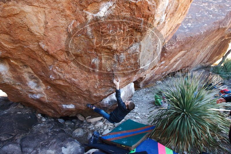 Bouldering in Hueco Tanks on 01/01/2019 with Blue Lizard Climbing and Yoga
Filename: SRM_20190101_1345320.jpg
Aperture: f/4.5
Shutter Speed: 1/250
Body: Canon EOS-1D Mark II
Lens: Canon EF 16-35mm f/2.8 L