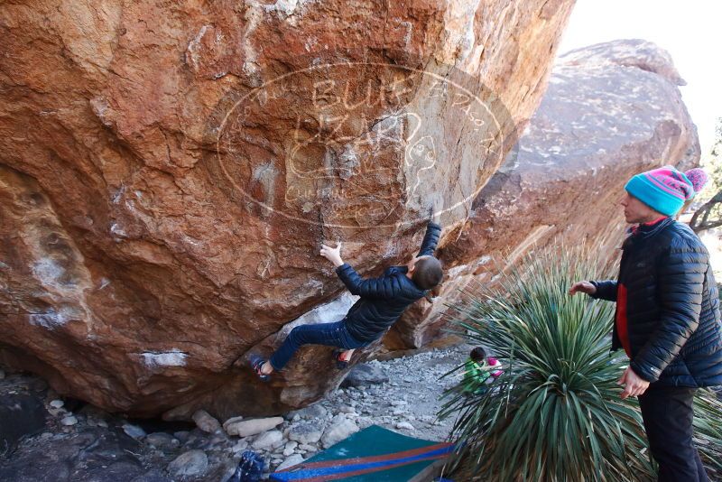 Bouldering in Hueco Tanks on 01/01/2019 with Blue Lizard Climbing and Yoga
Filename: SRM_20190101_1345380.jpg
Aperture: f/4.5
Shutter Speed: 1/250
Body: Canon EOS-1D Mark II
Lens: Canon EF 16-35mm f/2.8 L