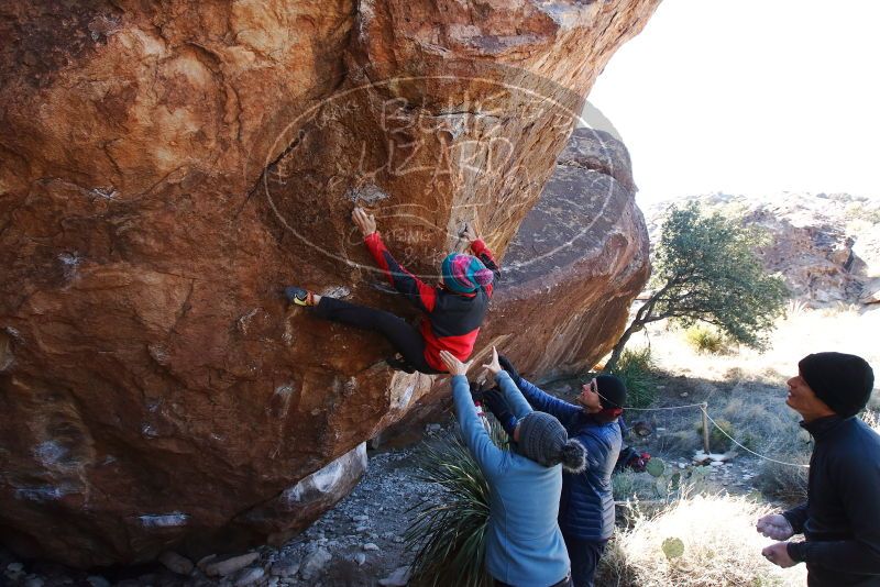 Bouldering in Hueco Tanks on 01/01/2019 with Blue Lizard Climbing and Yoga
Filename: SRM_20190101_1351320.jpg
Aperture: f/7.1
Shutter Speed: 1/250
Body: Canon EOS-1D Mark II
Lens: Canon EF 16-35mm f/2.8 L