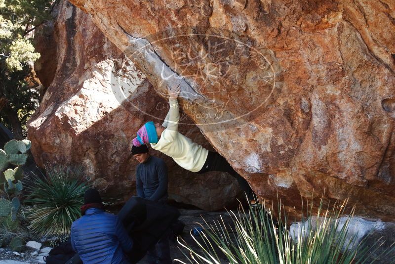 Bouldering in Hueco Tanks on 01/01/2019 with Blue Lizard Climbing and Yoga

Filename: SRM_20190101_1413250.jpg
Aperture: f/5.6
Shutter Speed: 1/250
Body: Canon EOS-1D Mark II
Lens: Canon EF 16-35mm f/2.8 L
