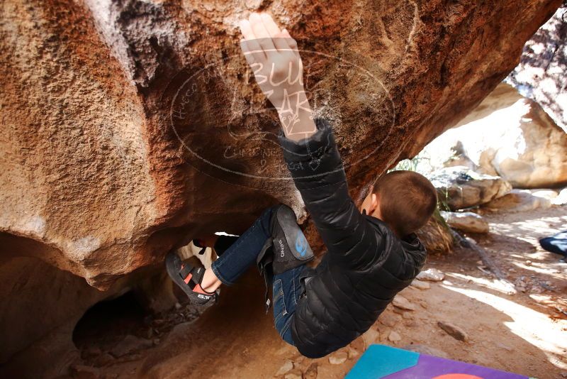 Bouldering in Hueco Tanks on 01/01/2019 with Blue Lizard Climbing and Yoga

Filename: SRM_20190101_1548370.jpg
Aperture: f/3.5
Shutter Speed: 1/200
Body: Canon EOS-1D Mark II
Lens: Canon EF 16-35mm f/2.8 L
