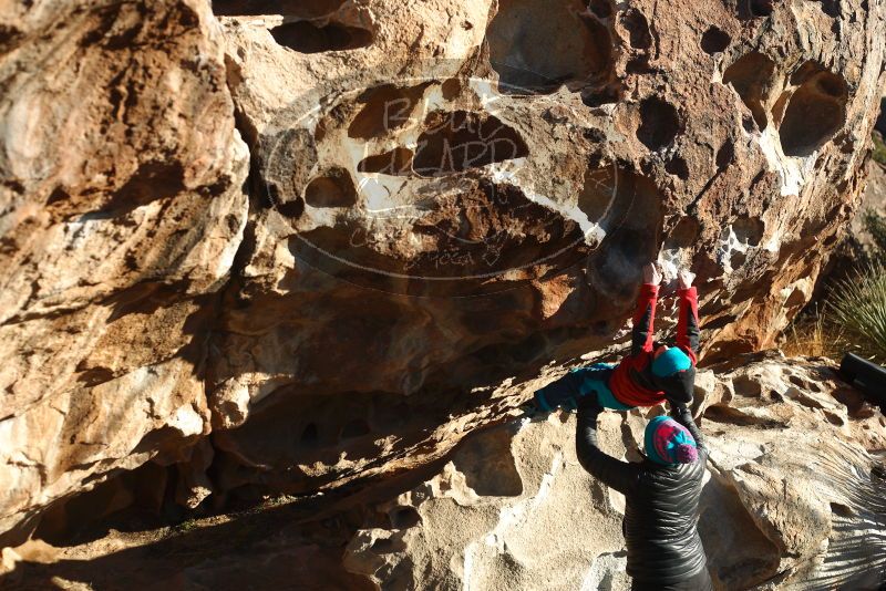 Bouldering in Hueco Tanks on 01/01/2019 with Blue Lizard Climbing and Yoga
Filename: SRM_20190101_1701450.jpg
Aperture: f/4.0
Shutter Speed: 1/320
Body: Canon EOS-1D Mark II
Lens: Canon EF 50mm f/1.8 II