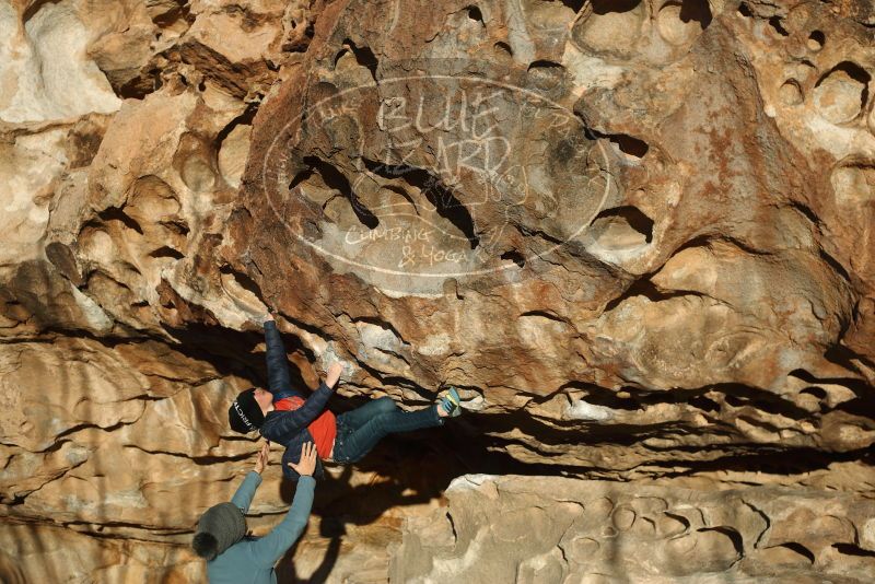 Bouldering in Hueco Tanks on 01/01/2019 with Blue Lizard Climbing and Yoga
Filename: SRM_20190101_1704370.jpg
Aperture: f/4.0
Shutter Speed: 1/800
Body: Canon EOS-1D Mark II
Lens: Canon EF 50mm f/1.8 II