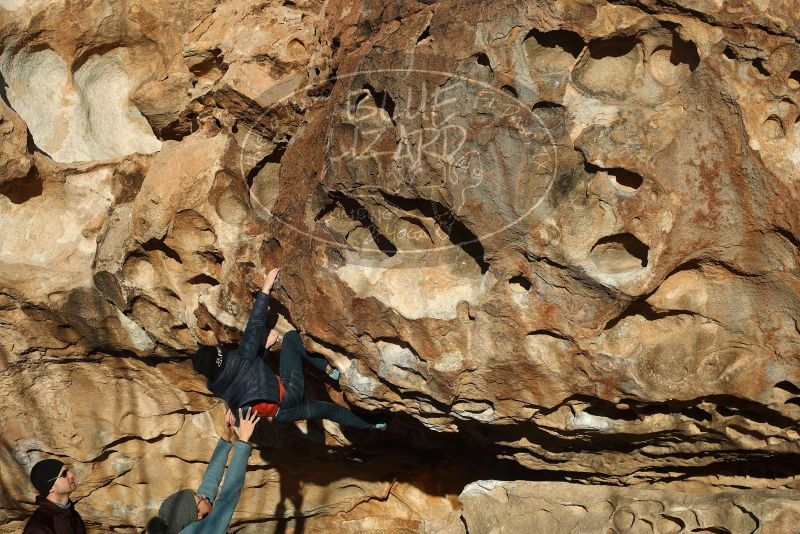 Bouldering in Hueco Tanks on 01/01/2019 with Blue Lizard Climbing and Yoga
Filename: SRM_20190101_1704470.jpg
Aperture: f/4.0
Shutter Speed: 1/800
Body: Canon EOS-1D Mark II
Lens: Canon EF 50mm f/1.8 II