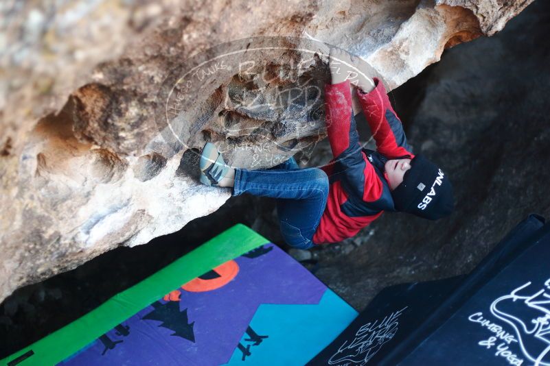 Bouldering in Hueco Tanks on 12/31/2018 with Blue Lizard Climbing and Yoga

Filename: SRM_20181231_1014400.jpg
Aperture: f/2.2
Shutter Speed: 1/250
Body: Canon EOS-1D Mark II
Lens: Canon EF 50mm f/1.8 II