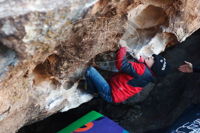 Bouldering in Hueco Tanks on 12/31/2018 with Blue Lizard Climbing and Yoga
Filename: SRM_20181231_1017200.jpg
Aperture: f/2.8
Shutter Speed: 1/250
Body: Canon EOS-1D Mark II
Lens: Canon EF 50mm f/1.8 II