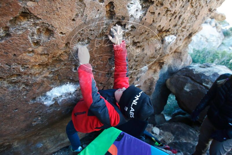 Bouldering in Hueco Tanks on 12/31/2018 with Blue Lizard Climbing and Yoga

Filename: SRM_20181231_1242130.jpg
Aperture: f/4.0
Shutter Speed: 1/250
Body: Canon EOS-1D Mark II
Lens: Canon EF 16-35mm f/2.8 L