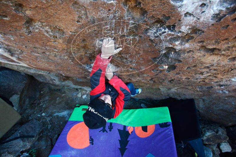 Bouldering in Hueco Tanks on 12/31/2018 with Blue Lizard Climbing and Yoga
Filename: SRM_20181231_1242470.jpg
Aperture: f/4.0
Shutter Speed: 1/250
Body: Canon EOS-1D Mark II
Lens: Canon EF 16-35mm f/2.8 L