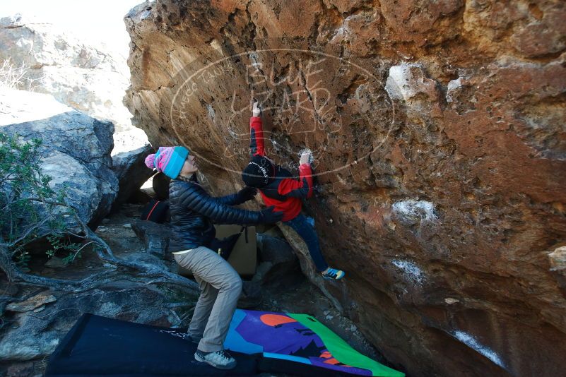 Bouldering in Hueco Tanks on 12/31/2018 with Blue Lizard Climbing and Yoga

Filename: SRM_20181231_1247560.jpg
Aperture: f/4.5
Shutter Speed: 1/250
Body: Canon EOS-1D Mark II
Lens: Canon EF 16-35mm f/2.8 L