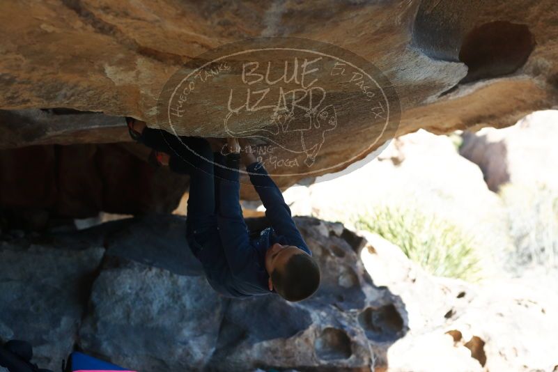 Bouldering in Hueco Tanks on 12/31/2018 with Blue Lizard Climbing and Yoga
Filename: SRM_20181231_1506400.jpg
Aperture: f/3.5
Shutter Speed: 1/800
Body: Canon EOS-1D Mark II
Lens: Canon EF 50mm f/1.8 II